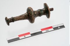 Foto von Bronzenadelspitzenschoner (NHMW-PRAE-024347)